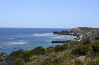 Rottnest Island