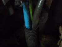 DSCI7536.JPG