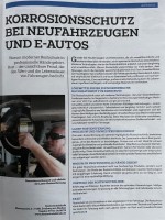 Laser-Rostentfernung + Festkörperwachs.jpeg