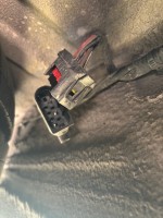 IMG_9701.jpeg