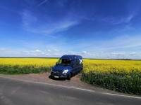 IMG_20250508_101151.jpg (180.07 KiB) 2606 mal betrachtet Raps - hausen CZ