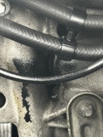IMG_3975.jpeg