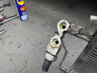 IMG_2685.jpeg