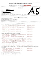 A5 SPRINTER_Vor der Reparatur__Alle Systemdiagnoseberichte_20250830_203426-0001.jpg