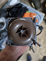 20250803_201944.jpg