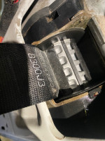 IMG_3816.jpeg