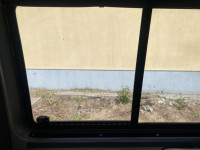 IMG_9842.jpeg