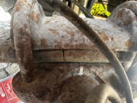 IMG_7993.jpeg