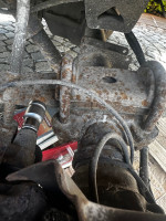 IMG_7992.jpeg