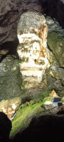 IMG_20260422_150747_525.jpg