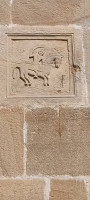 IMG_20260425_101639_208.jpg