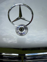 CLK Stern.jpeg