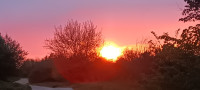 IMG_20260429_190241_768.jpg
