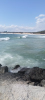 IMG_20260502_093917_860.jpg