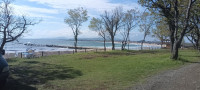 IMG_20260502_084228_941.jpg