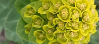 IMG_20260504_181528_000.jpg