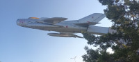 IMG_20260505_180642_246.jpg