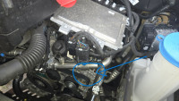 20260604_185912b.jpg