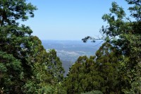 Blick ins Yarra Valley