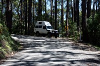 artgerechte Troopiehaltung