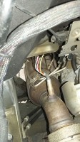 IMG-20160207-WA0000.jpg
