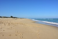 90 Mile Beach Blick nach Norden