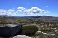 Weg zum Mt. Kosziosko