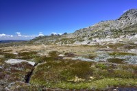 Weg zum Mt. Kosziosko