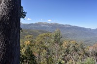 Blick auf die Great Dividing Range - hinter dem Kamm liegt dann der Mt. Kosziosko