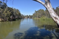 Murray River