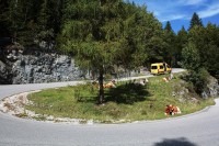 schafbergalm.jpg (252.13 KiB) 12530 mal betrachtet Kurve Kühe Kastenwagen<br />Auffahrt zur Postalm 2014