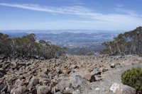 Blockmeer am Mt. Wellington mit Blick auf Hobart