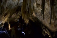 Mystery Cave