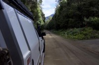 Gravel Road in den Southern Forests