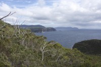 Blick zur Forestier Peninsula
