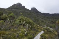 Cradle Mountains