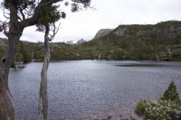 Wombat Pool