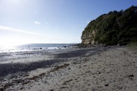 Fossil Cliff bei Wynyard