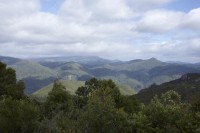 Berglandschaft der Western Tiers