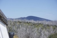 Blue Rag Mountain...da sollte es hoch gehen... :(