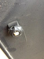 IMG_2281.jpeg