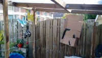 2017-07-18 09.33.21.jpg