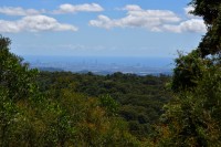 Springbrook NP