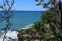 Noosa Heads NP