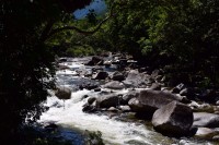 Mossman Gorge