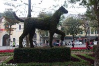 Vietnam tag 1 (1 von 1)-2.jpg