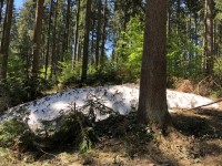 C7147083-3B52-495C-9937-0DE86D4C50C8.jpeg
