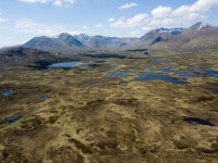 Im Rannoch Moor - einfach nur schön