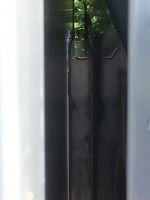 IMG_2841.JPG