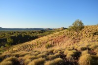 Abend im Purnululu NP